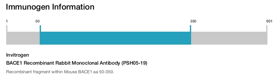 BACE1 Recombinant Rabbit Monoclonal Antibody (PSH05-19)