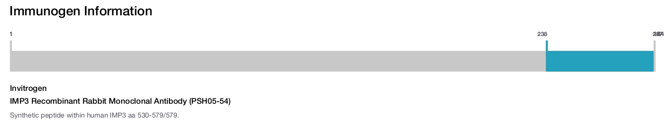 IMP3 Recombinant Rabbit Monoclonal Antibody (PSH05-54)