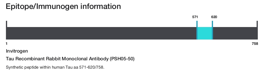 Tau Recombinant Rabbit Monoclonal Antibody (PSH05-50)