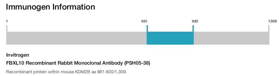 FBXL10 Recombinant Rabbit Monoclonal Antibody (PSH05-38)