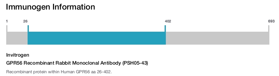 GPR56 Recombinant Rabbit Monoclonal Antibody (PSH05-43)