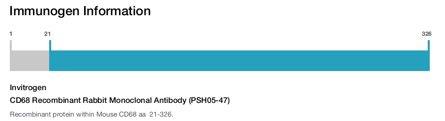 CD68 Recombinant Rabbit Monoclonal Antibody (PSH05-47)