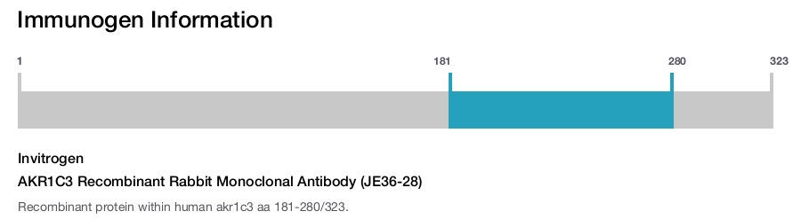 AKR1C3 Recombinant Rabbit Monoclonal Antibody (JE36-28)