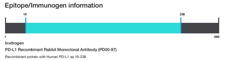 PD-L1 Recombinant Rabbit Monoclonal Antibody (PD00-97)