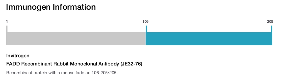 FADD Recombinant Rabbit Monoclonal Antibody (JE32-76)