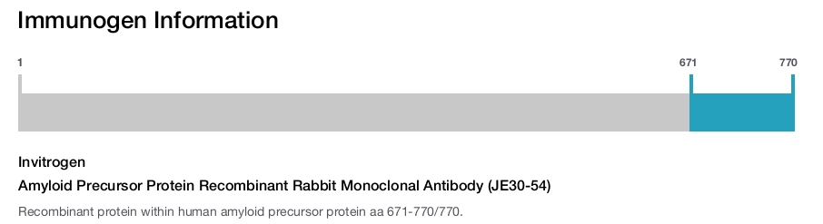 Amyloid Precursor Protein Recombinant Rabbit Monoclonal Antibody (JE30-54)