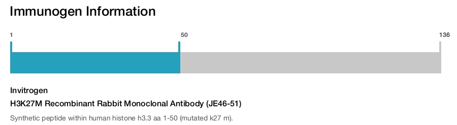H3K27M Recombinant Rabbit Monoclonal Antibody (JE46-51)