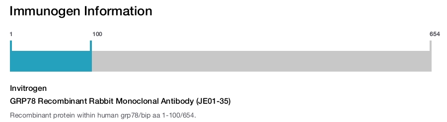GRP78 Recombinant Rabbit Monoclonal Antibody (JE01-35)