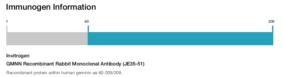 GMNN Recombinant Rabbit Monoclonal Antibody (JE35-51)
