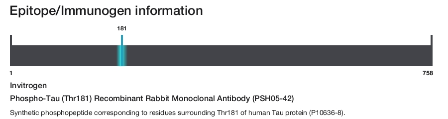 Phospho-Tau (Thr181) Recombinant Rabbit Monoclonal Antibody (PSH05-42)