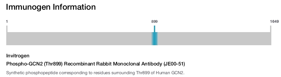 Phospho-GCN2 (Thr899) Recombinant Rabbit Monoclonal Antibody (JE00-51)