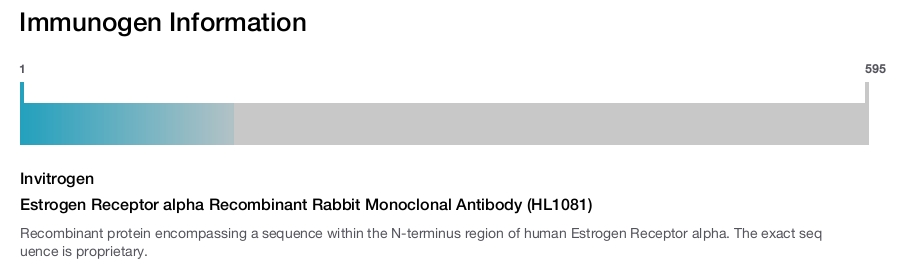 Estrogen Receptor alpha Recombinant Rabbit Monoclonal Antibody (HL1081)