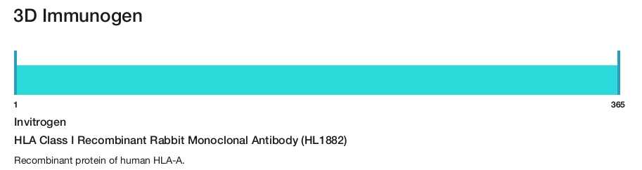 HLA Class I Recombinant Rabbit Monoclonal Antibody (HL1882)
