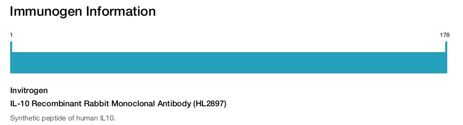 IL-10 Recombinant Rabbit Monoclonal Antibody (HL2897)