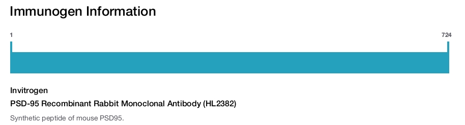 PSD-95 Recombinant Rabbit Monoclonal Antibody (HL2382)