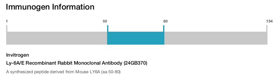 Ly-6A/E Recombinant Rabbit Monoclonal Antibody (24GB370)