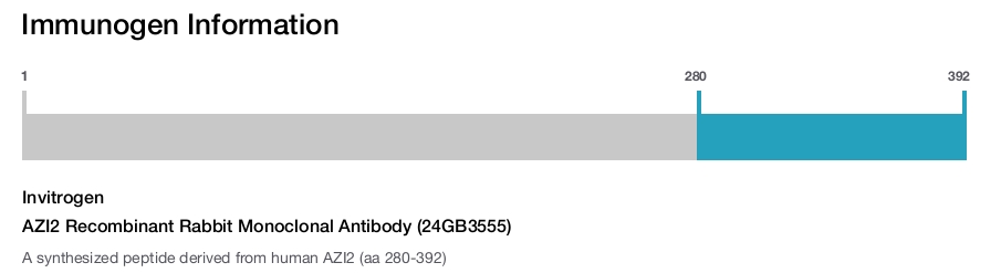 AZI2 Recombinant Rabbit Monoclonal Antibody (24GB3555)