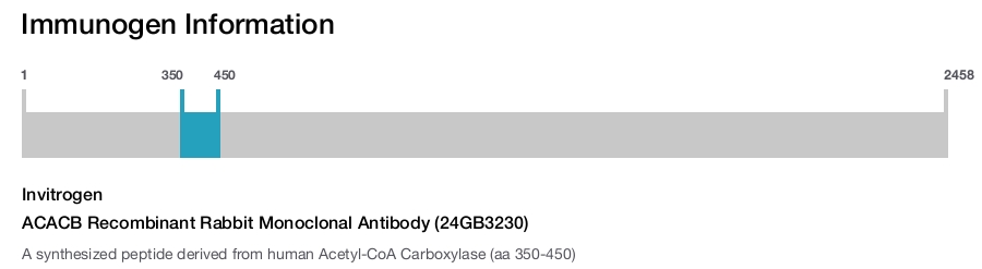 ACACB Recombinant Rabbit Monoclonal Antibody (24GB3230)
