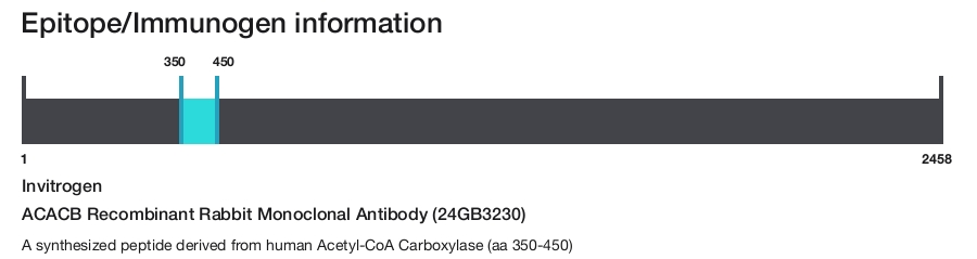 ACACB Recombinant Rabbit Monoclonal Antibody (24GB3230)