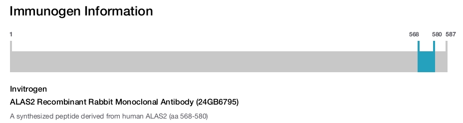 ALAS2 Recombinant Rabbit Monoclonal Antibody (24GB6795)