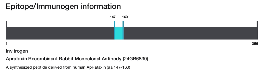 Aprataxin Recombinant Rabbit Monoclonal Antibody (24GB6830)