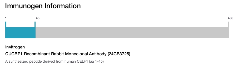 CUGBP1 Recombinant Rabbit Monoclonal Antibody (24GB3725)