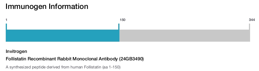 Follistatin Recombinant Rabbit Monoclonal Antibody (24GB3490)