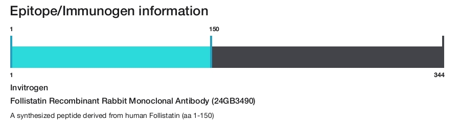 Follistatin Recombinant Rabbit Monoclonal Antibody (24GB3490)