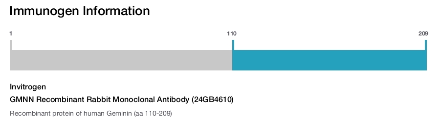 GMNN Recombinant Rabbit Monoclonal Antibody (24GB4610)