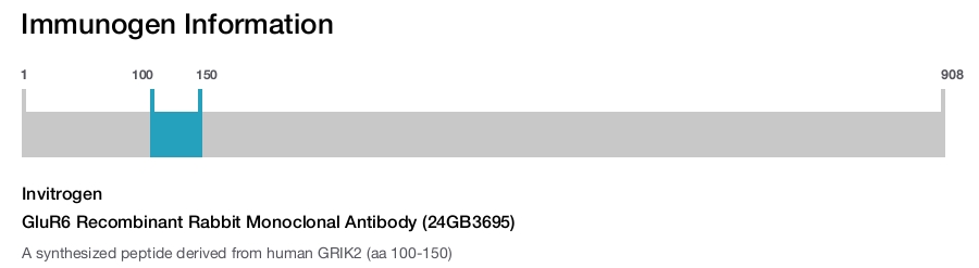 GluR6 Recombinant Rabbit Monoclonal Antibody (24GB3695)