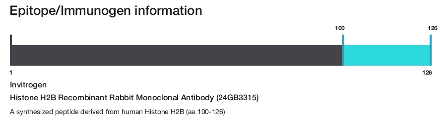 Histone H2B Recombinant Rabbit Monoclonal Antibody (24GB3315)