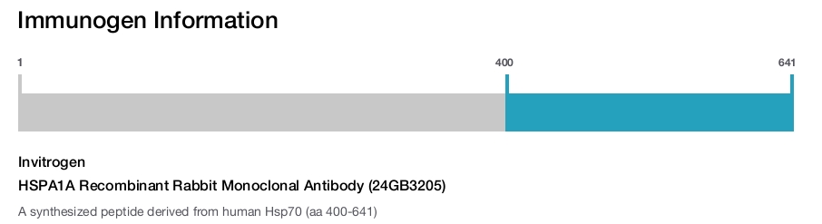 HSPA1A Recombinant Rabbit Monoclonal Antibody (24GB3205)