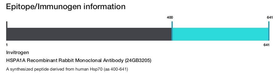 HSPA1A Recombinant Rabbit Monoclonal Antibody (24GB3205)