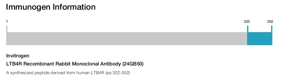 LTB4R Recombinant Rabbit Monoclonal Antibody (24GB50)