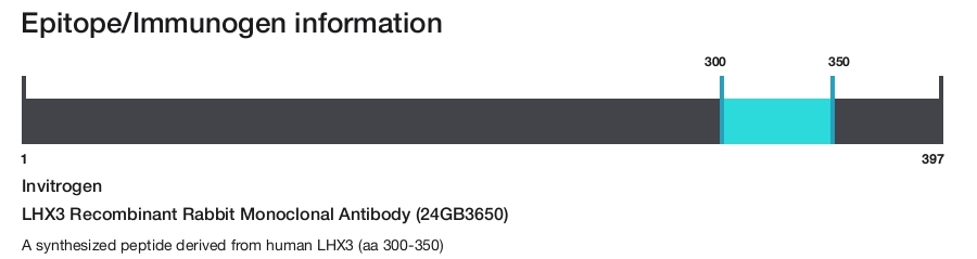 LHX3 Recombinant Rabbit Monoclonal Antibody (24GB3650)