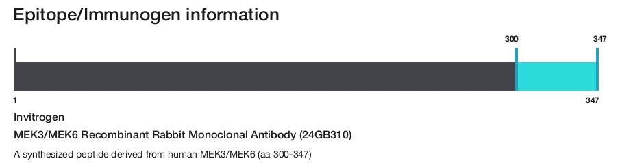 MEK3/MEK6 Recombinant Rabbit Monoclonal Antibody (24GB310)