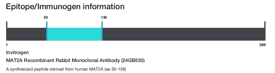 MAT2A Recombinant Rabbit Monoclonal Antibody (24GB530)