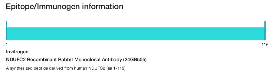 NDUFC2 Recombinant Rabbit Monoclonal Antibody (24GB505)