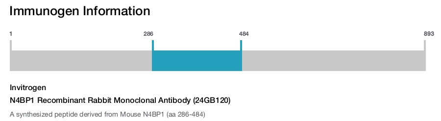 N4BP1 Recombinant Rabbit Monoclonal Antibody (24GB120)