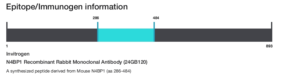 N4BP1 Recombinant Rabbit Monoclonal Antibody (24GB120)