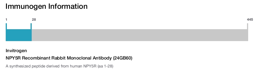 NPY5R Recombinant Rabbit Monoclonal Antibody (24GB60)