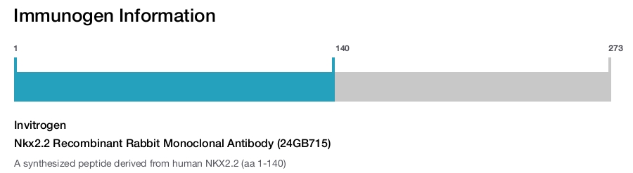 Nkx2.2 Recombinant Rabbit Monoclonal Antibody (24GB715)