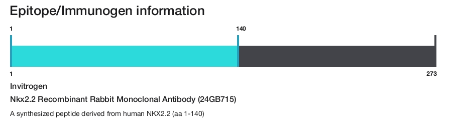Nkx2.2 Recombinant Rabbit Monoclonal Antibody (24GB715)