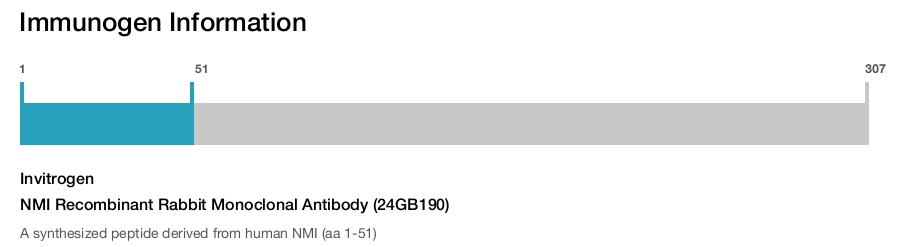 NMI Recombinant Rabbit Monoclonal Antibody (24GB190)