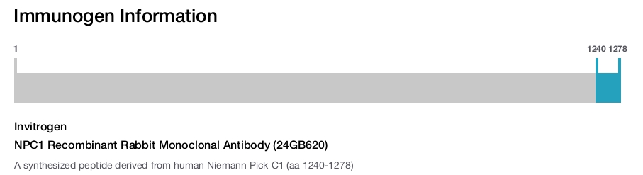NPC1 Recombinant Rabbit Monoclonal Antibody (24GB620)