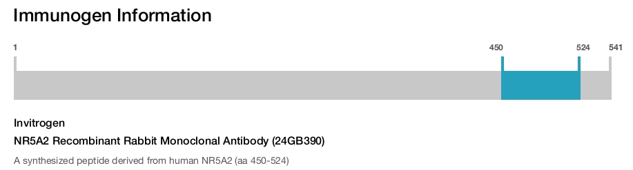 NR5A2 Recombinant Rabbit Monoclonal Antibody (24GB390)