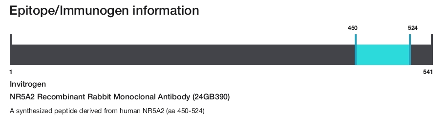 NR5A2 Recombinant Rabbit Monoclonal Antibody (24GB390)