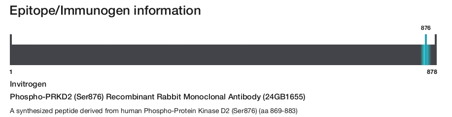 Phospho-PRKD2 (Ser876) Recombinant Rabbit Monoclonal Antibody (24GB1655)