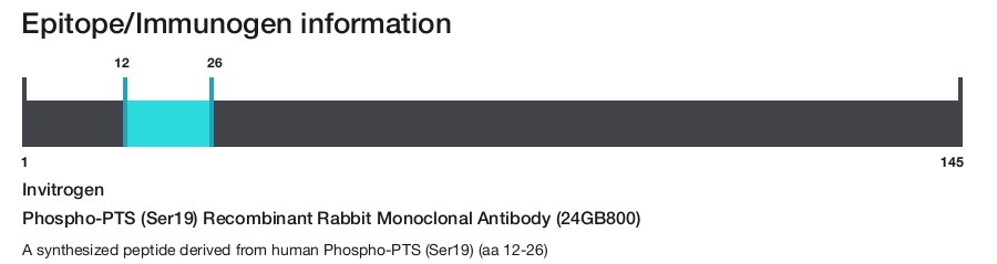 Phospho-PTS (Ser19) Recombinant Rabbit Monoclonal Antibody (24GB800)