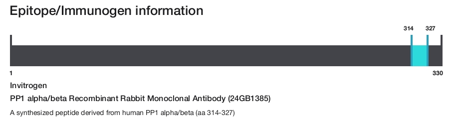 PP1 alpha/beta Recombinant Rabbit Monoclonal Antibody (24GB1385)